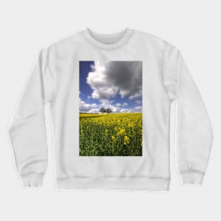 Yellow Crewneck Sweatshirt